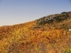 fall-2012_10_19_12-25610