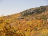 fall-2012_10_19_12-25616
