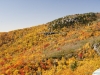 fall-2012_10_19_12-25622