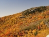 fall-2012_10_19_12-25624