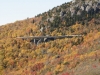 fall-2012_10_19_12-25628