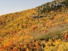 fall-2012_10_19_12-25632