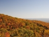 fall-2012_10_19_12-25664