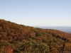 fall-2012_10_19_12-25665