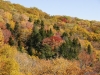 fall-2012_10_19_12-25672