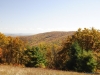 fall-2012_10_19_12-25679