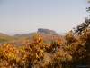 fall-2012_10_19_12-25689