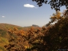 fall-2012_10_19_12-25691
