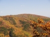 fall-2012_10_19_12-25706