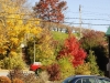 fall-2012_10_19_12-25739
