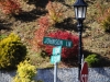 fall-2012_10_19_12-25744