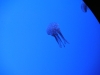 easterbreak_04_01_13-28858