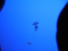 easterbreak_04_01_13-28859