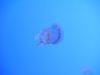 easterbreak_04_01_13-28861