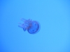 easterbreak_04_01_13-28862