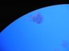 easterbreak_04_01_13-28864