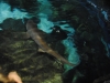 easterbreak_04_01_13-28867