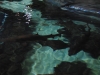 easterbreak_04_01_13-28868