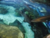 easterbreak_04_01_13-28870