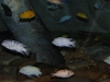 easterbreak_04_01_13-28876