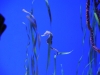 easterbreak_04_01_13-28877