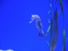 easterbreak_04_01_13-28878