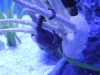 easterbreak_04_01_13-28879