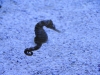 easterbreak_04_01_13-28880