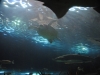 easterbreak_04_01_13-28885