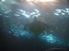 easterbreak_04_01_13-28886
