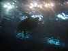 easterbreak_04_01_13-28887