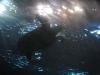 easterbreak_04_01_13-28888