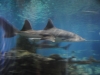 easterbreak_04_01_13-28889