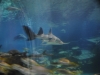 easterbreak_04_01_13-28890