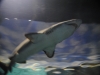easterbreak_04_01_13-28894