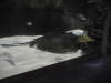 easterbreak_04_01_13-28897