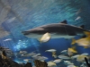 easterbreak_04_01_13-28899