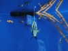 easterbreak_04_01_13-28902