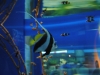 easterbreak_04_01_13-28903