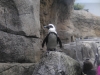 easterbreak_04_01_13-28907