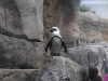 easterbreak_04_01_13-28908