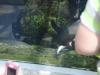 easterbreak_04_01_13-28910