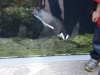 easterbreak_04_01_13-28911