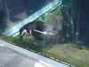 easterbreak_04_01_13-28913