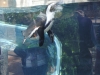 easterbreak_04_01_13-28914