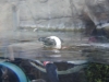 easterbreak_04_01_13-28916