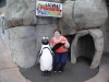 easterbreak_04_01_13-28918