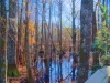FairBluff HDR
