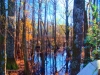 FairBluff HDR2