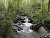 Mt Leconte 2014_07_31_2014_3685